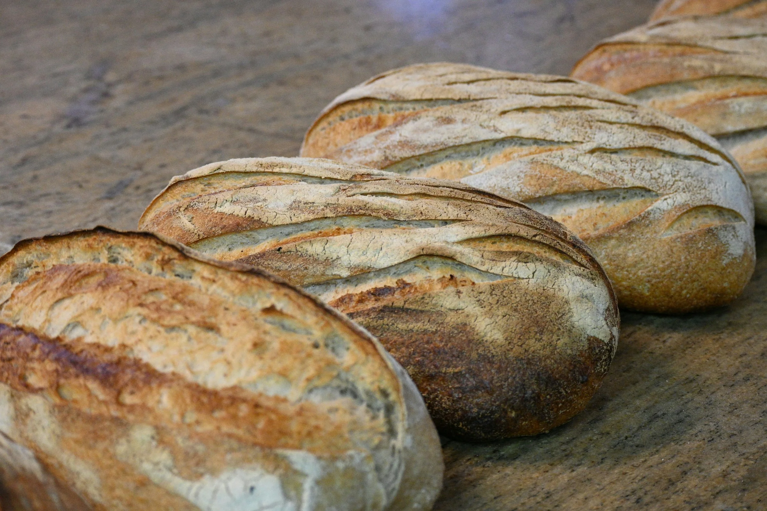 Rustic artisan bread loaves cooling on a wooden work surface.