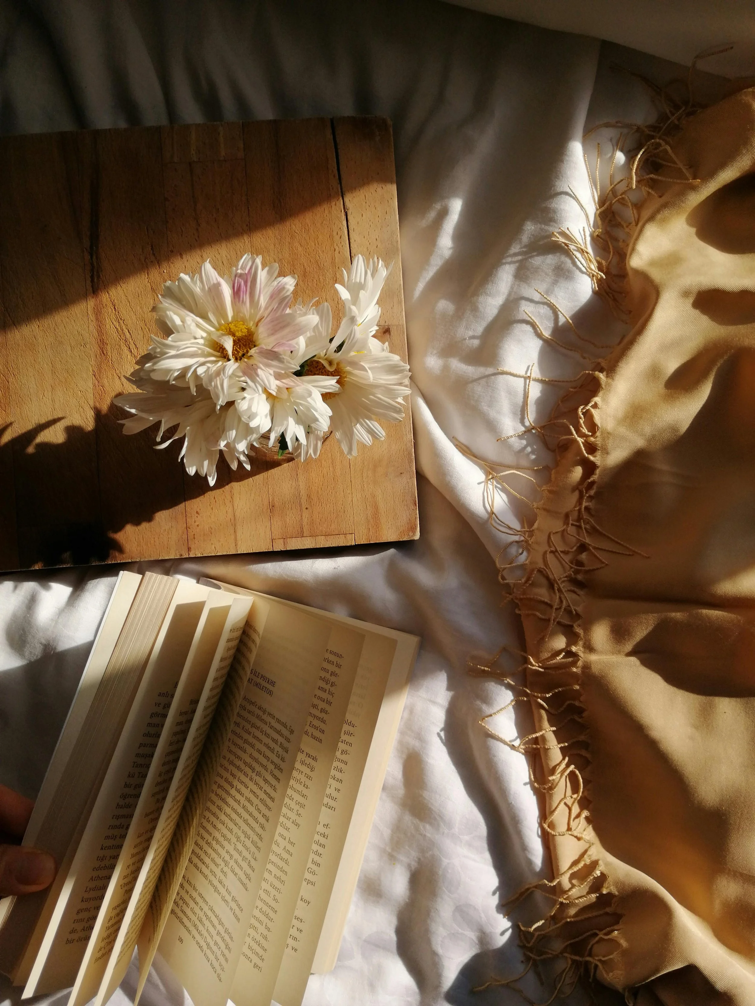 An open book, a bouquet of white daisies with pink accents, a wooden surface, a beige fabric with fringe, and sunlight creating shadows.