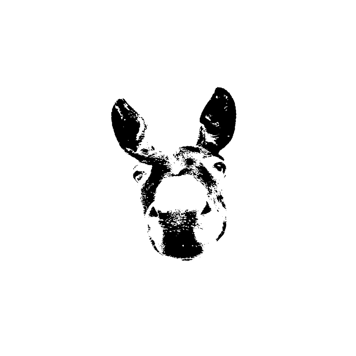 "Cabeza de un Burro"