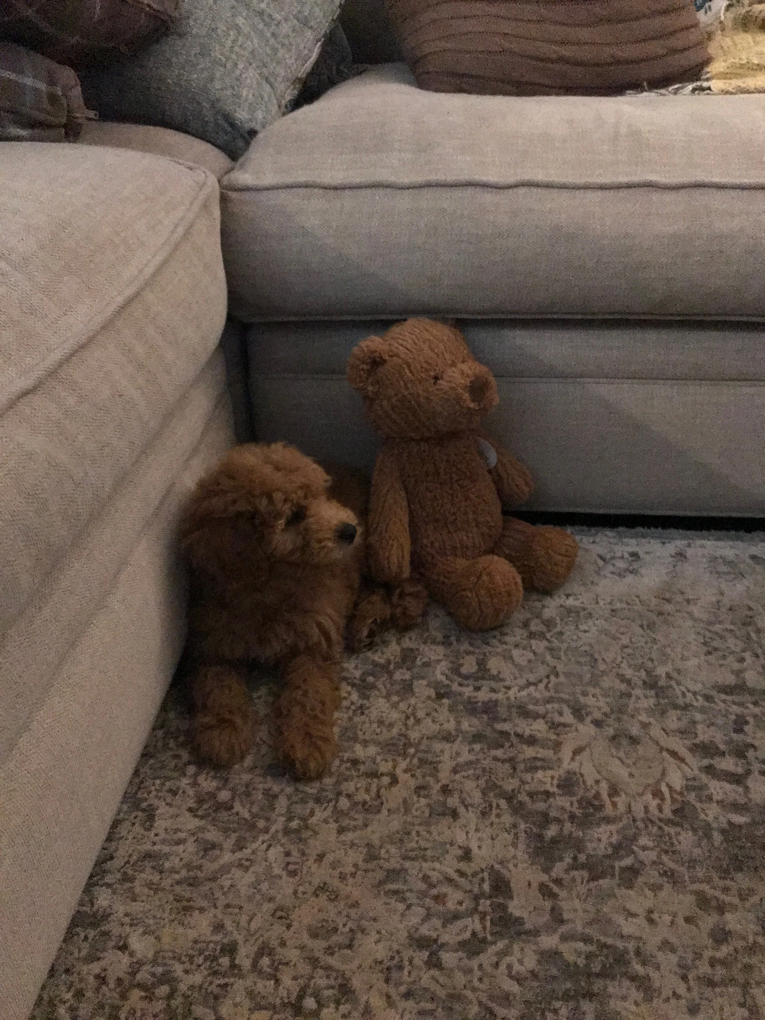 Stella and Bear
