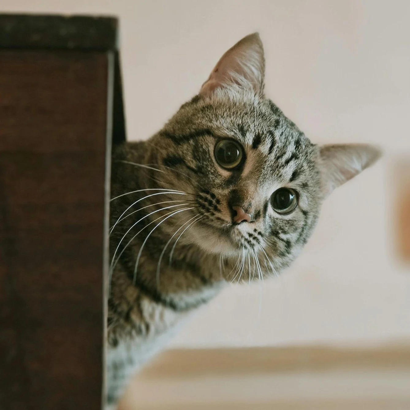 Your paragraph text (1).jpg