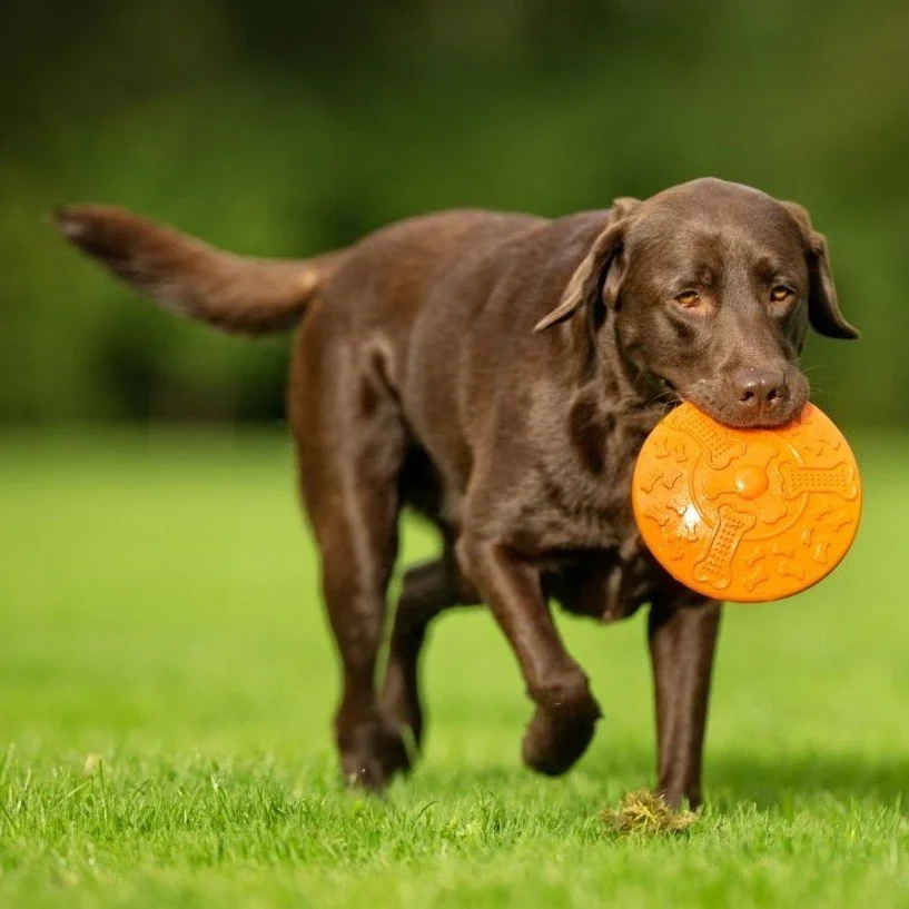 40-minute  Energy Burn Walk/Jog