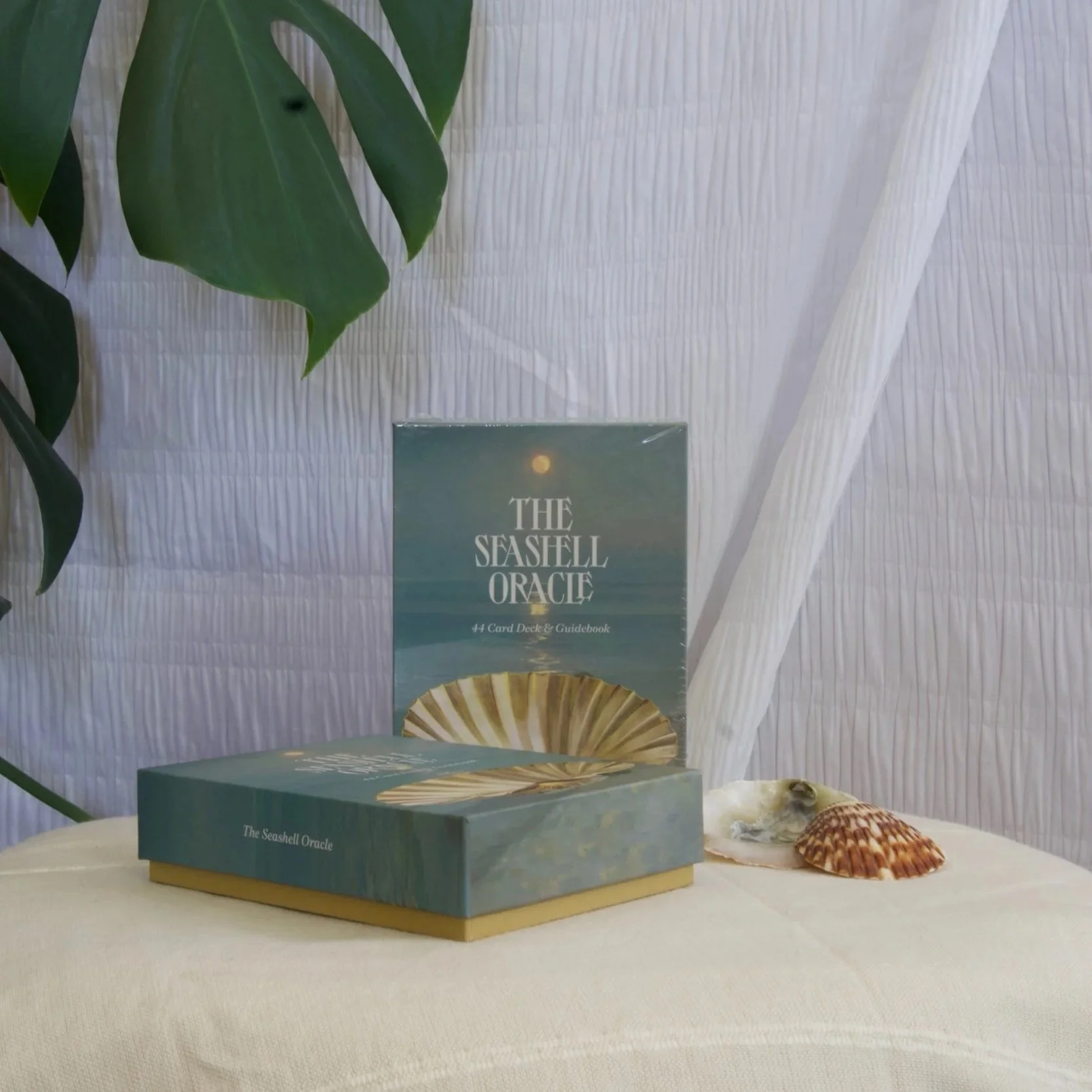 The Seashell Oracle