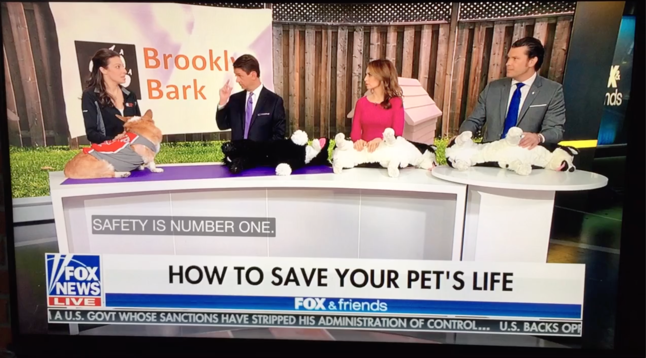 Screen Shot 2021-01-07 at 11.25.33 AM.png