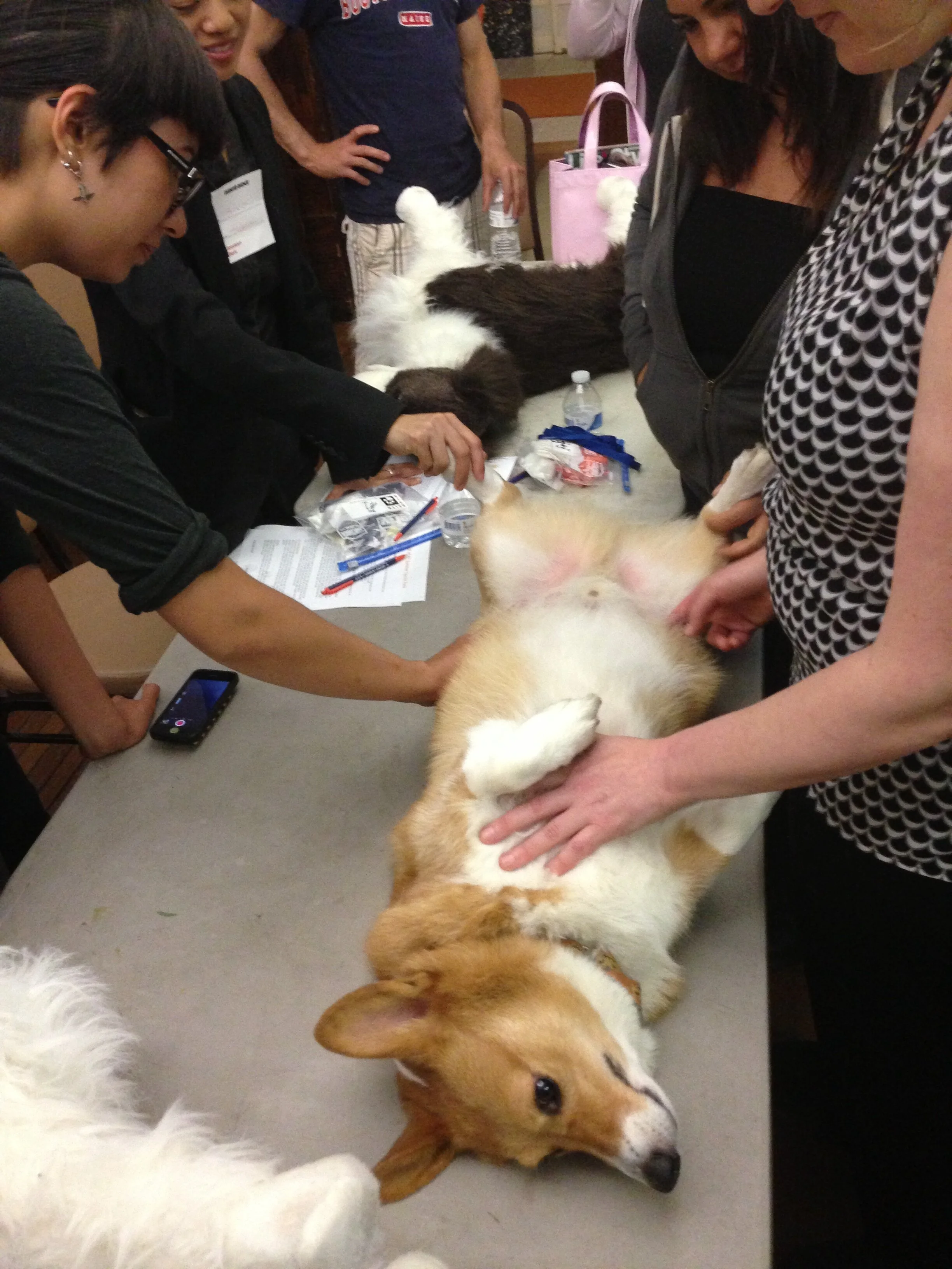 2014-06-12 21.17.05.jpg