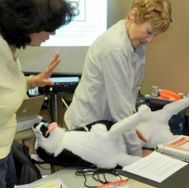 Bark Master teaching CPR.png