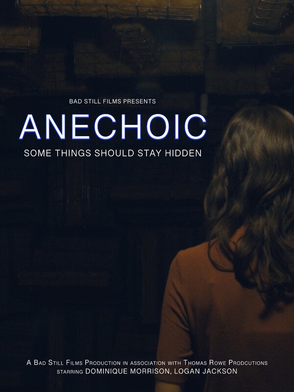 Movie poster for "Anechoic," presented by Bad Still Films, with the tagline "Some things should stay hidden." Features a woman with wavy brown hair wearing a brown shirt, facing away from the camera against a dark background.
