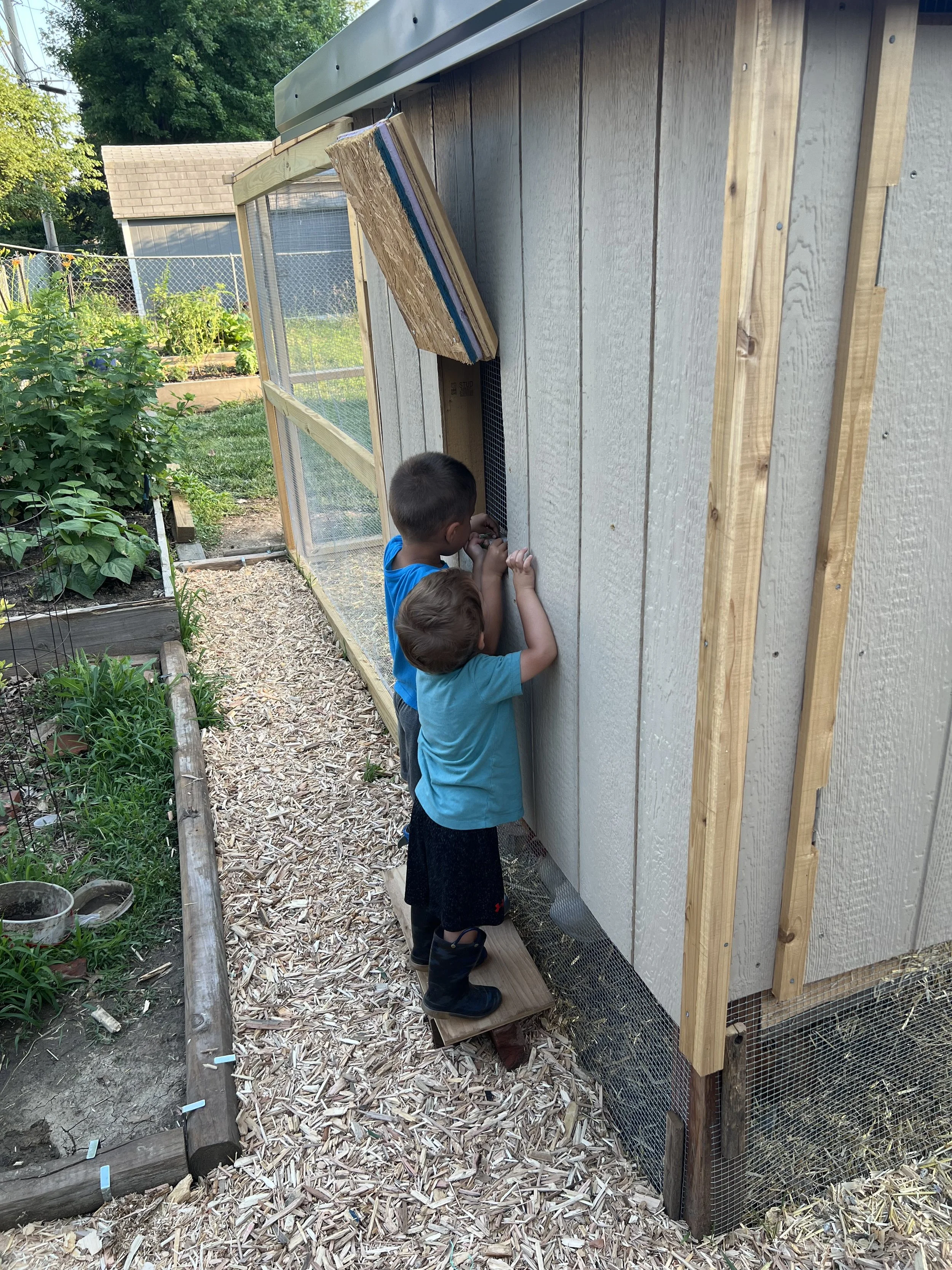 Built a chicken coop and run. Had some inspectors checking out the new space.