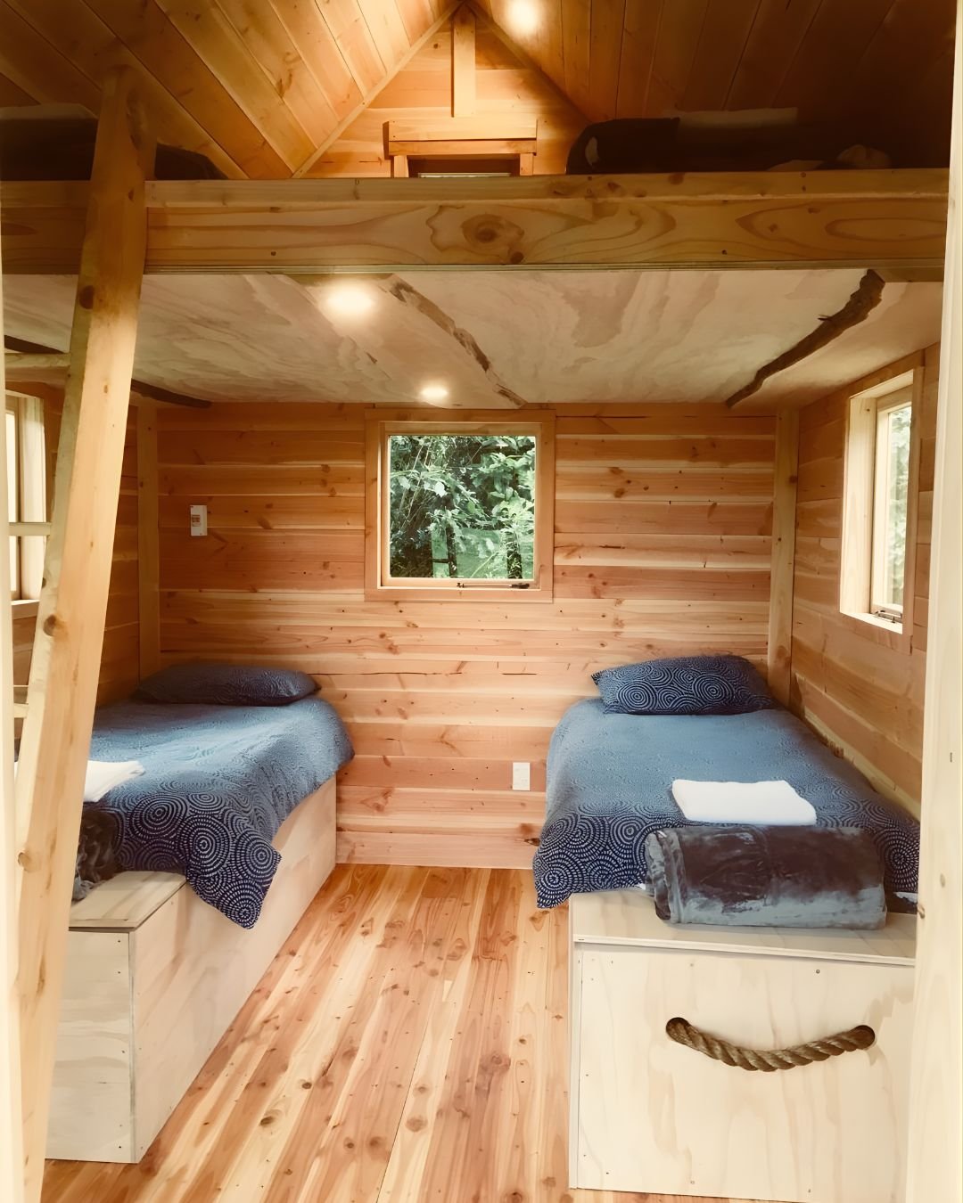 Wholehearted Women's Nature Retreat