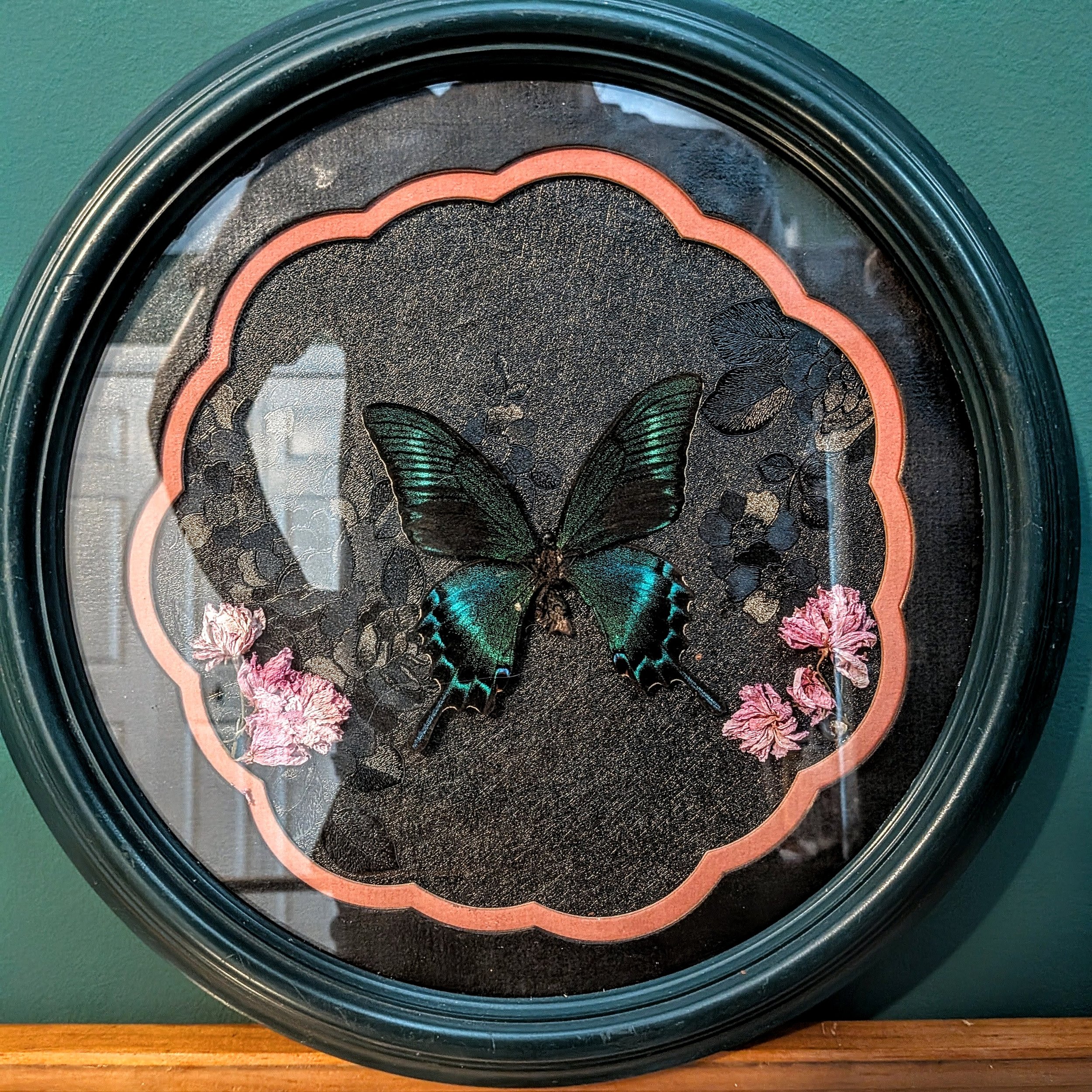 Shadow frame with large butterfly