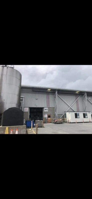 Industrial warehouse with bird netting to stop birds nesting.