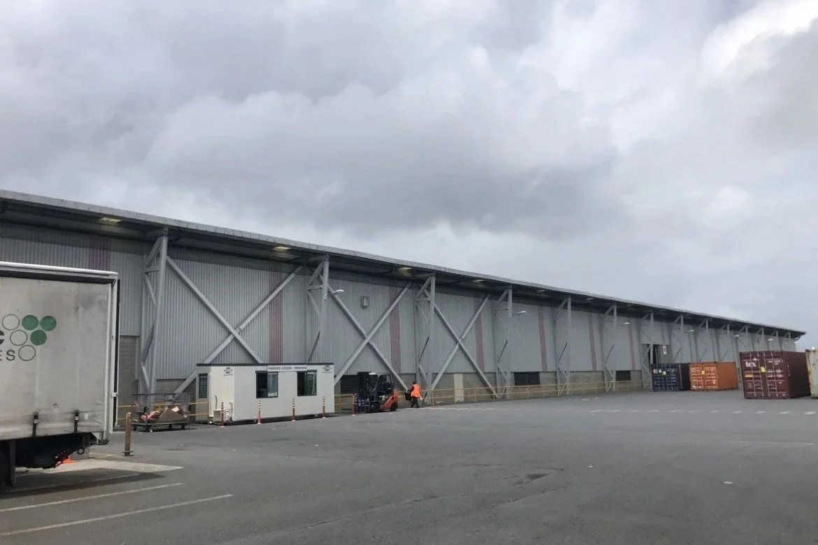 Lion Brewery Project