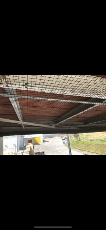 Bird netting installed underneath canopy