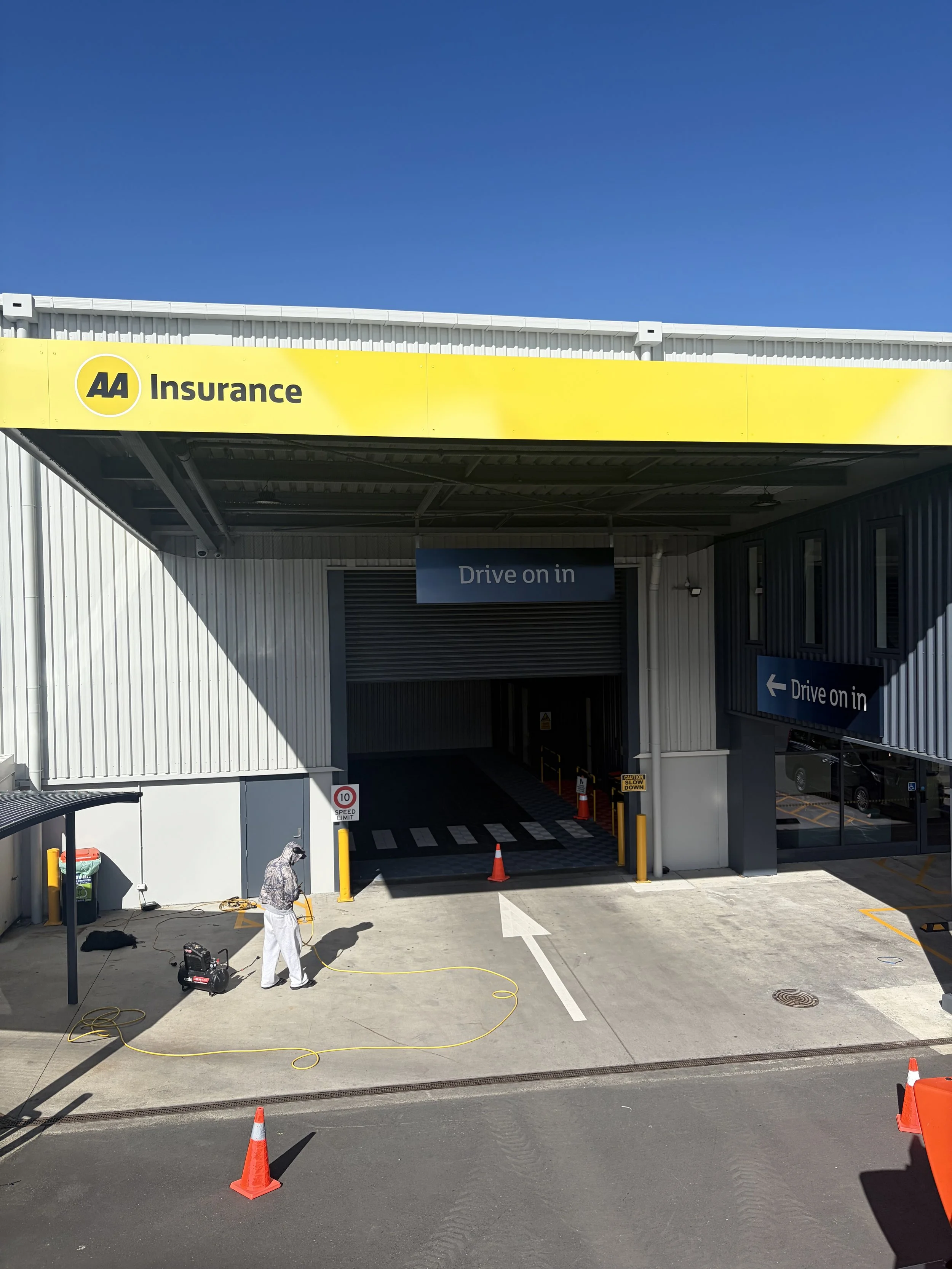 Commercial Building Auckland – Canopy Bird Netting