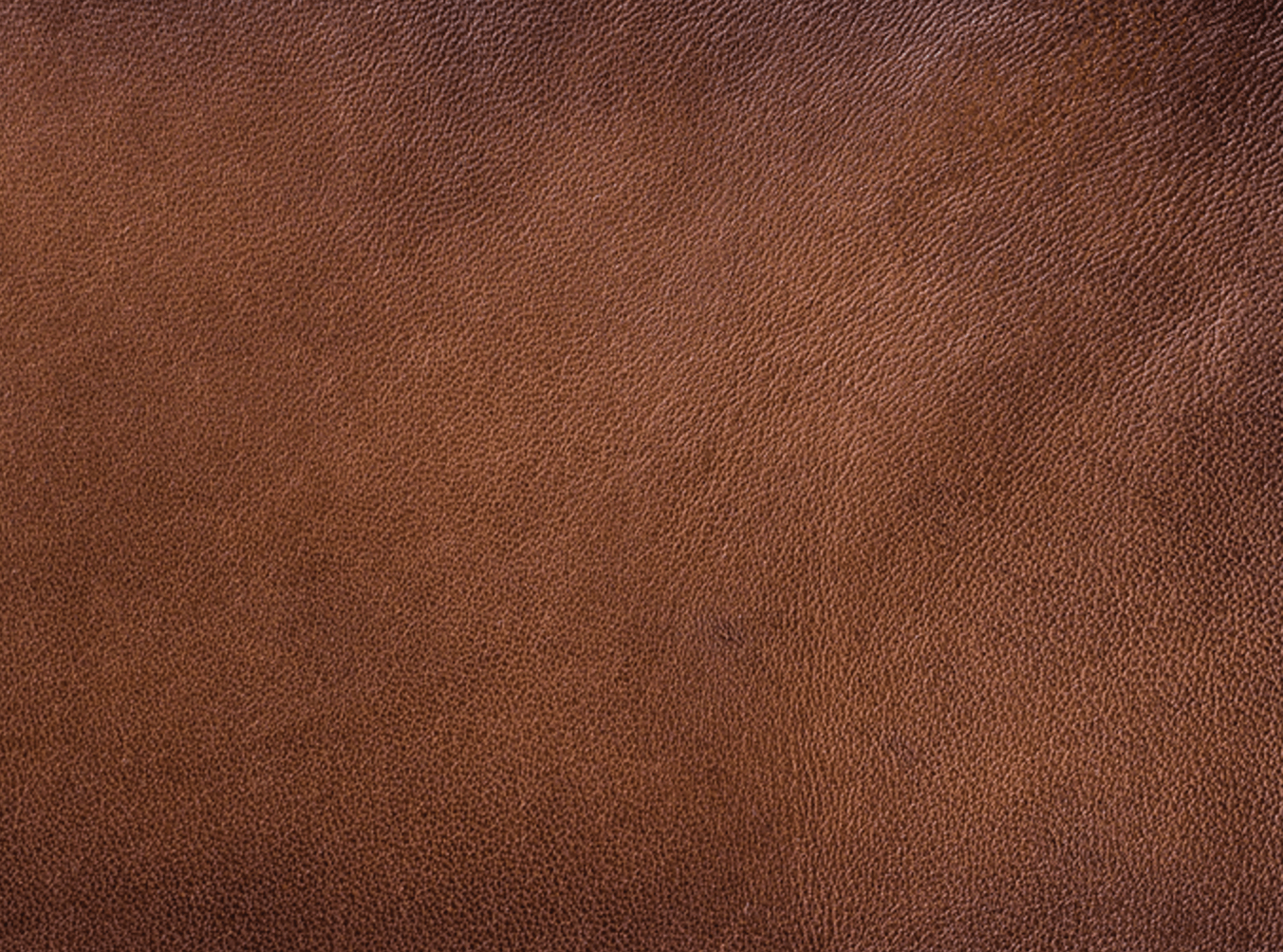 Genuine Palliser leather upholstery showcasing premium furniture craftsmanship