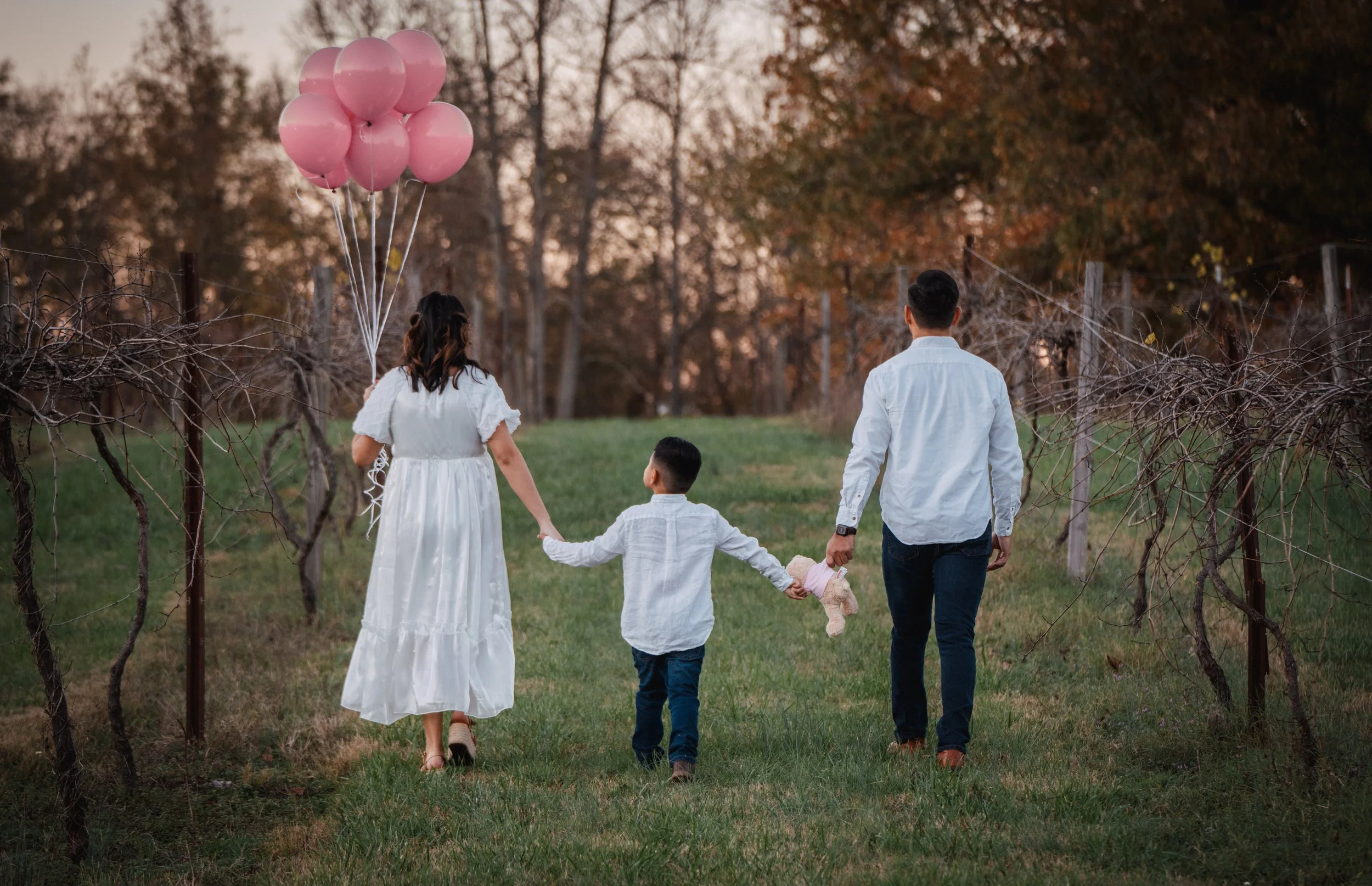 A family of four walking through a vineyard at sunset, with the mother holding pink balloons and the father holding the young child's hand, as they hold a teddy bear.