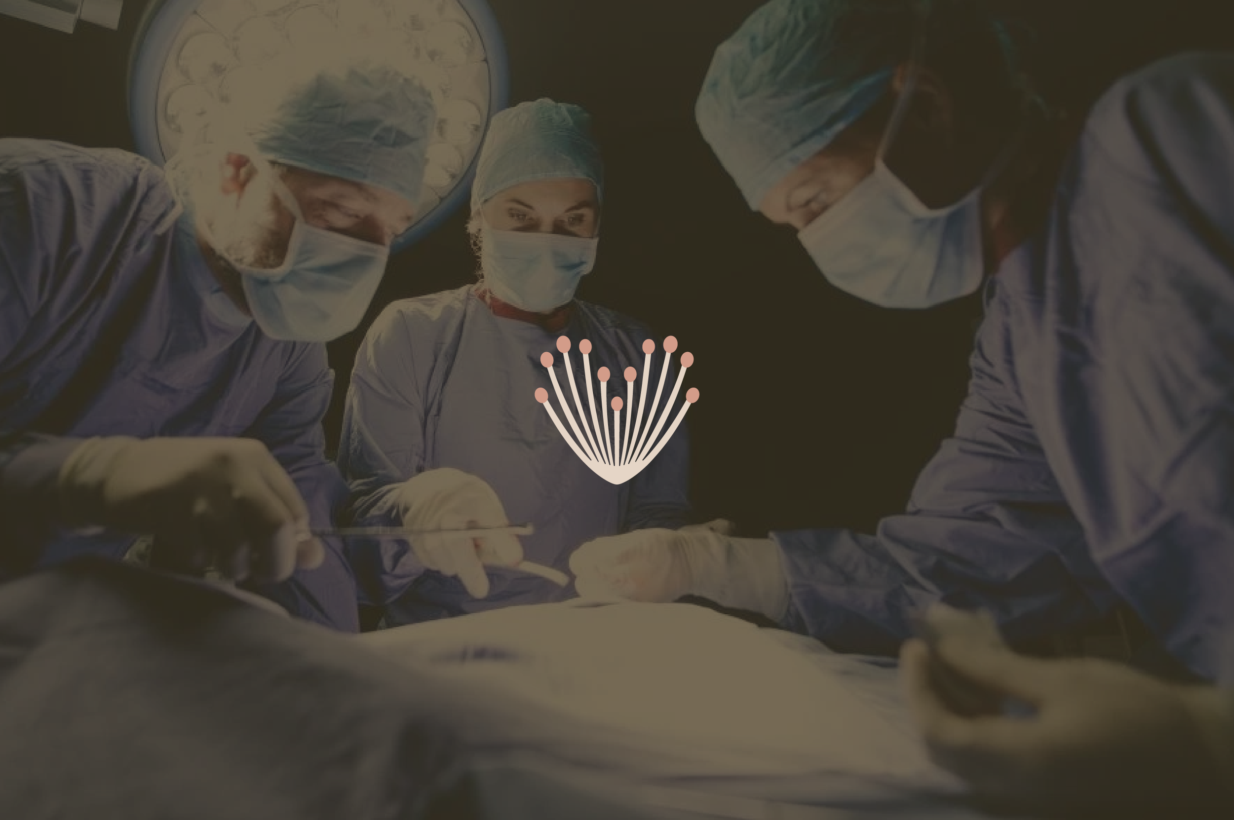 Endo Excision vs Ablation