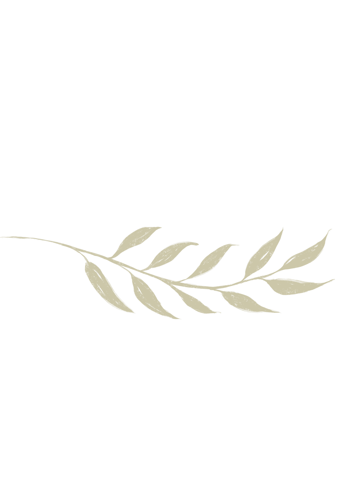 A beige-colored leafy branch with multiple elongated leaves against a black background, representing a modern, clean-looking website.