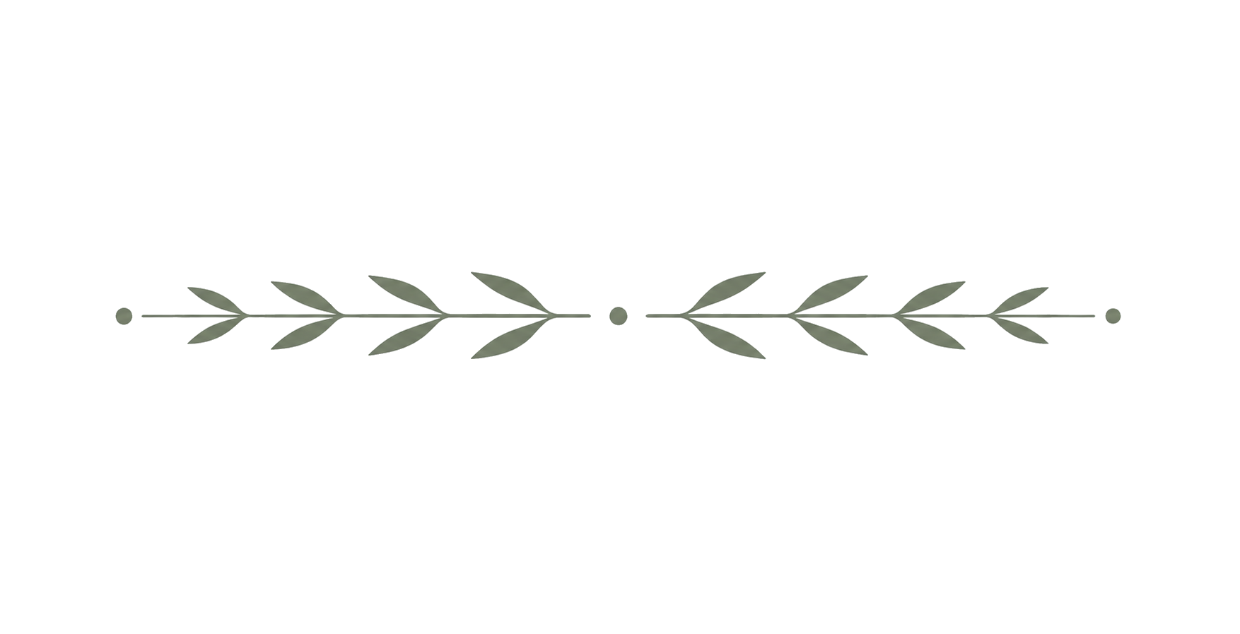 Decorative line with green leaves on a gray horizontal bar and small dots at each end.