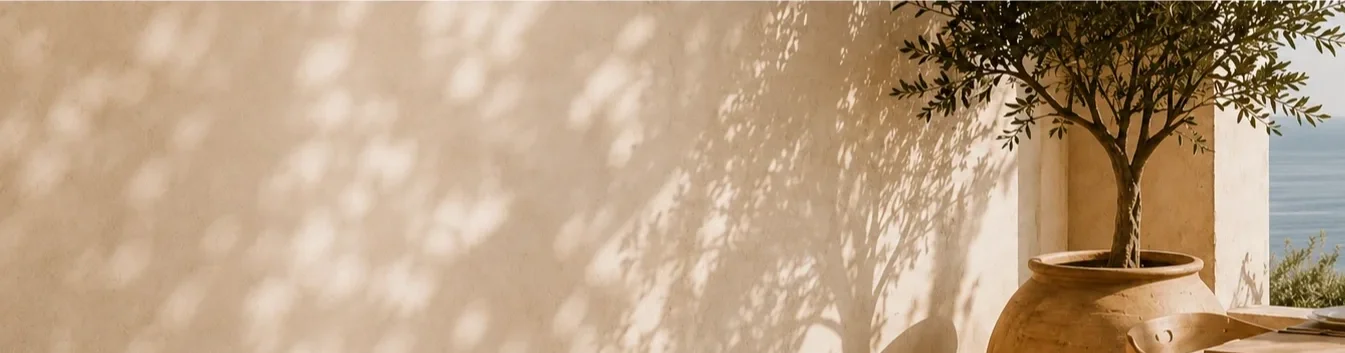 A potted tree casting shadow on a beige wall, with sunlight and a view of the sea in the background.