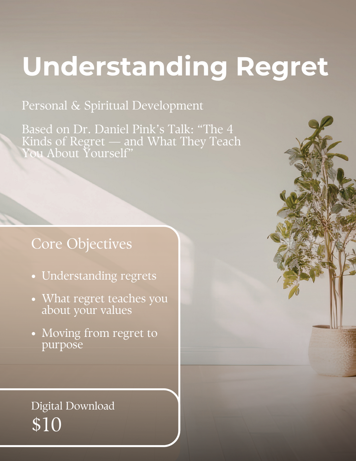 Understanding Regret Workbook