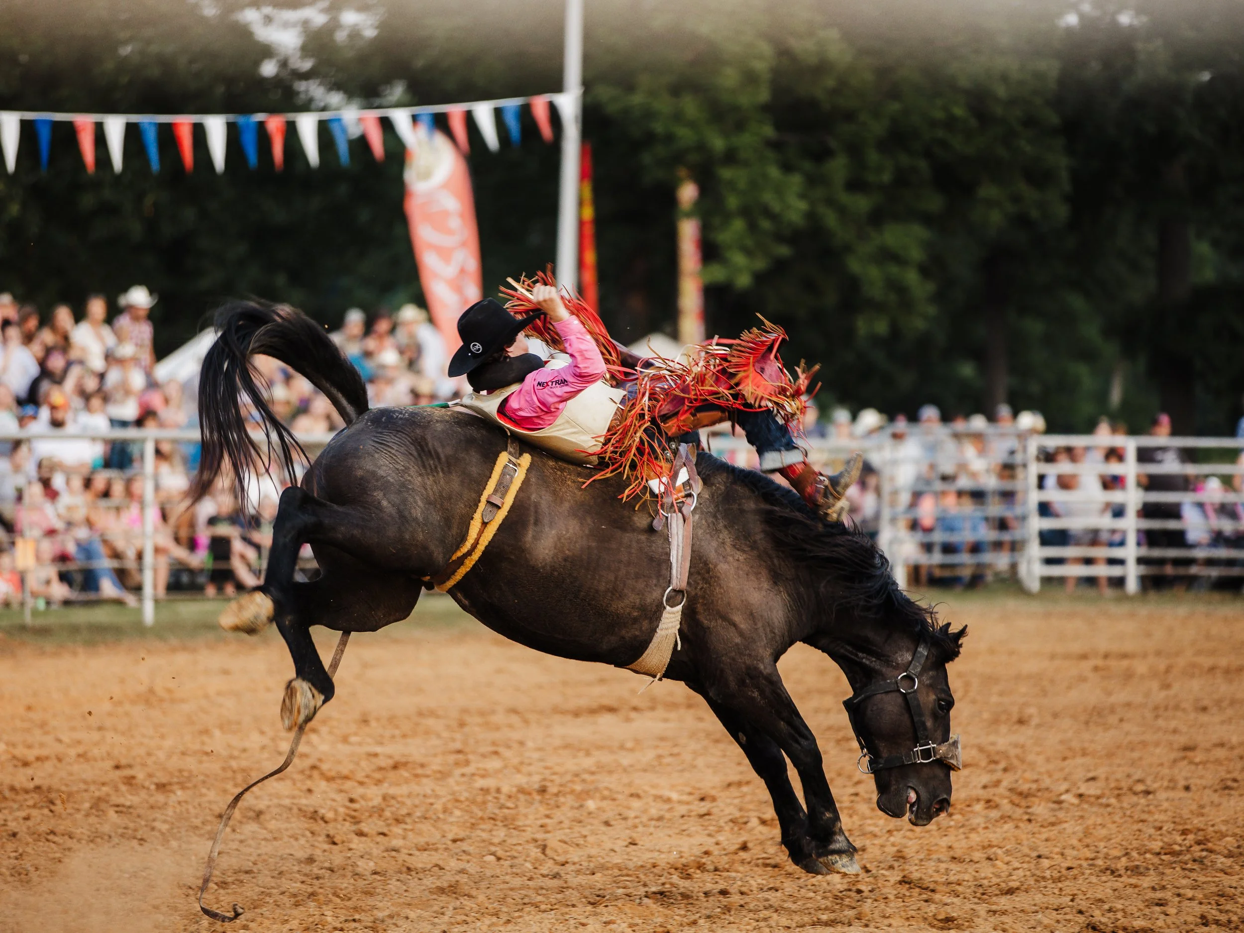 Phillips Championship Rodeo