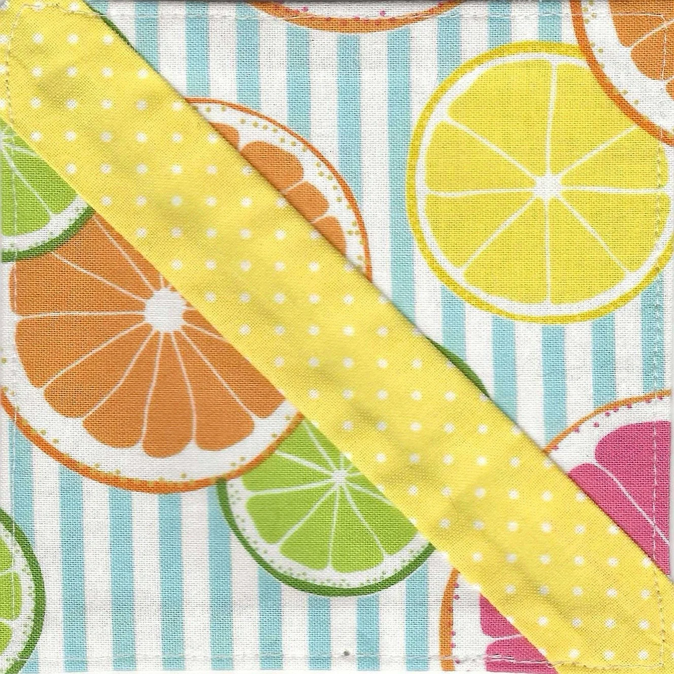 Lemons (F-01)
Food Collection