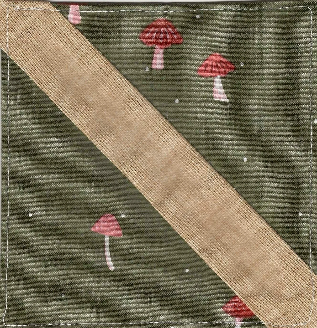 Mushrooms (N-06)
Nature Collection