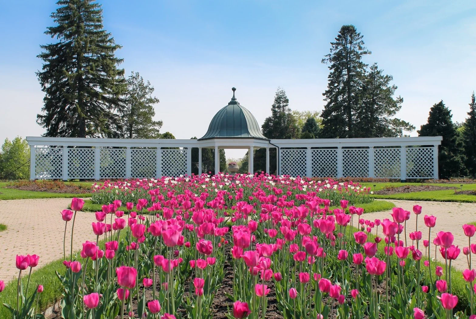 Botanical Garden | Free Entry