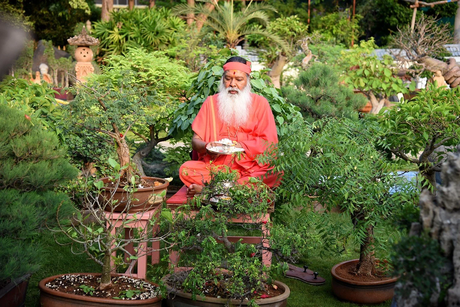Sri Ganapathy Sachchidananda Swamiji surrounded by bonsai plants.