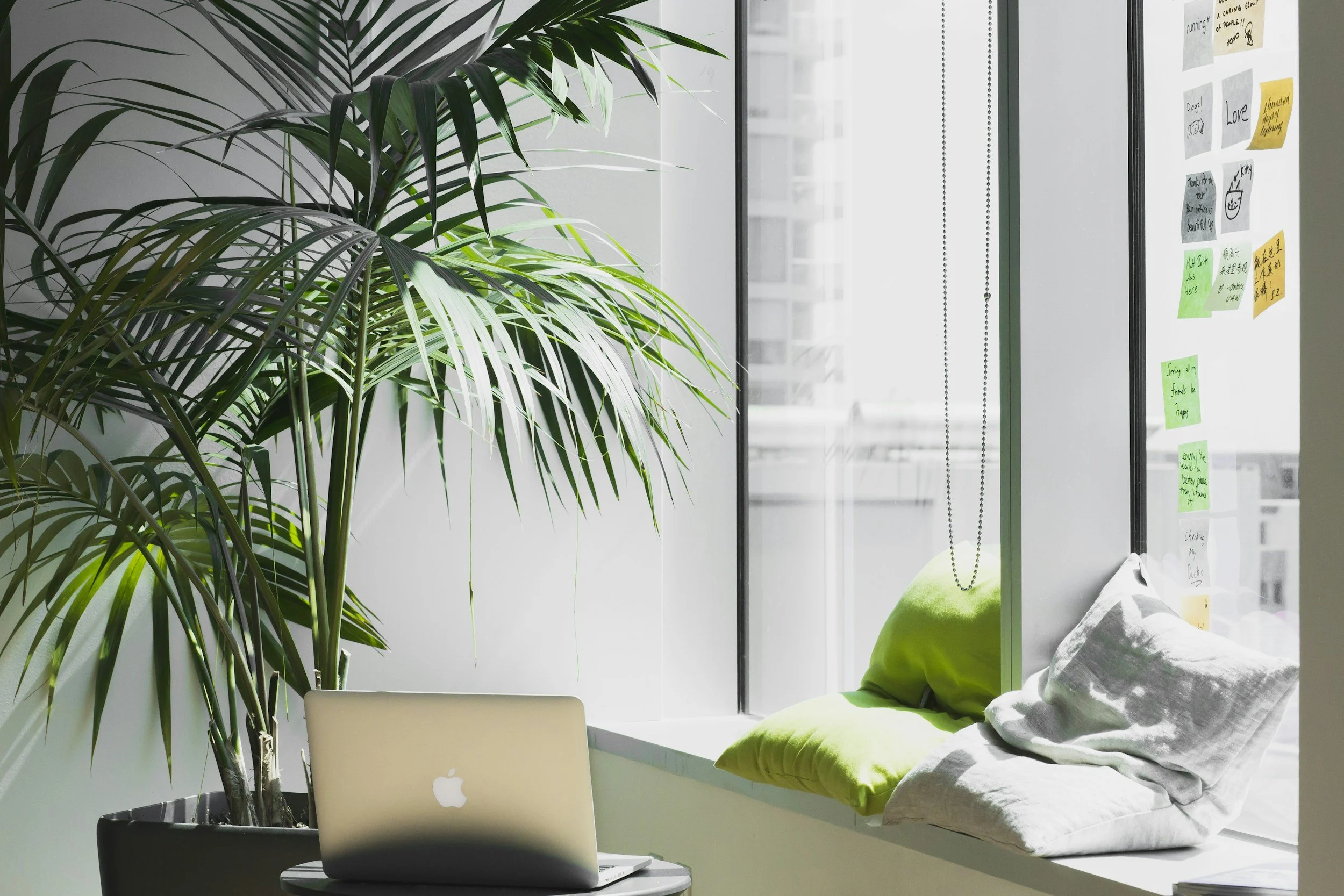 A workspace featuring a large leafy green plant, a laptop with an Apple logo, and a window seat with green and white pillows next to a glass wall with notes and drawings.