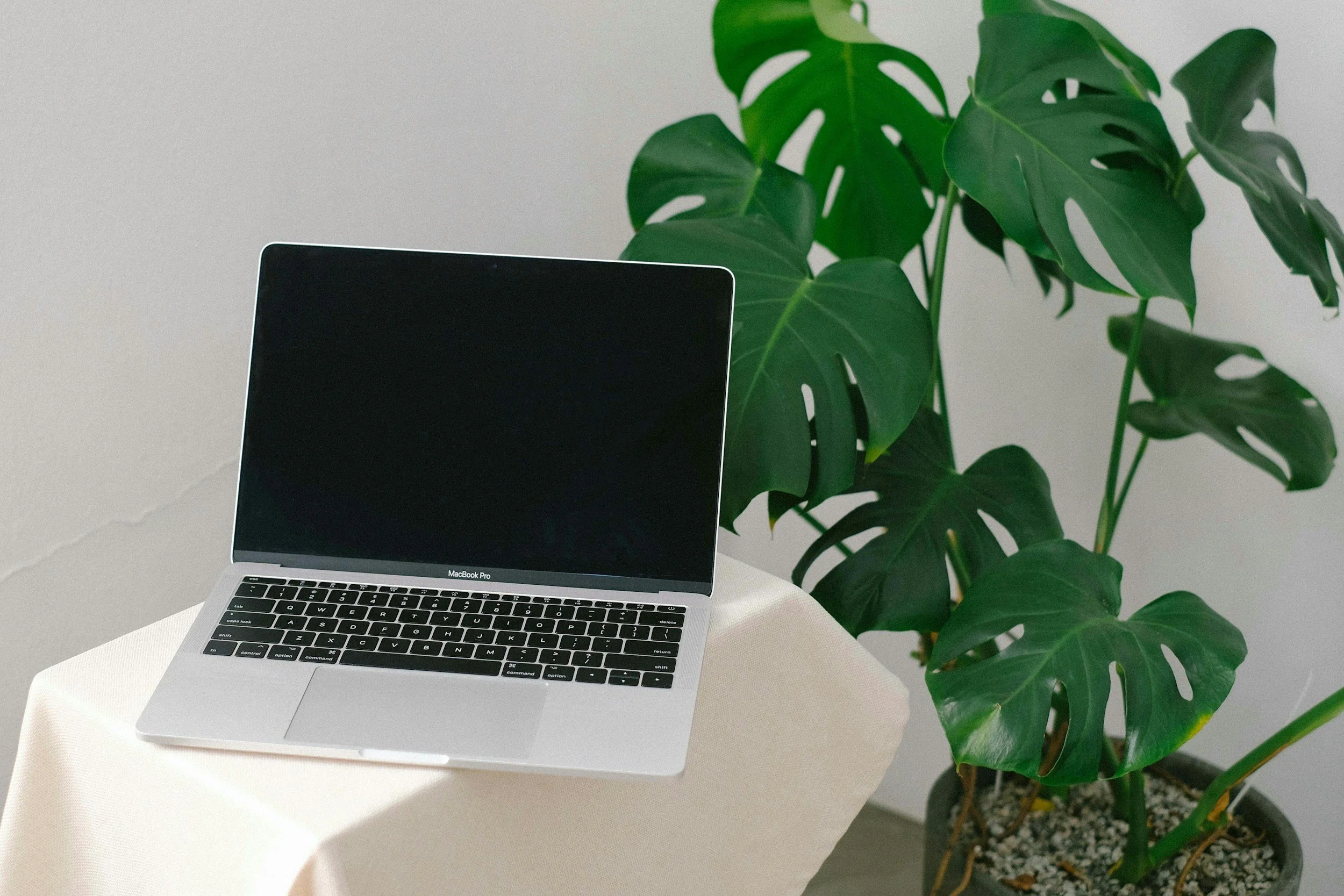 A MacBook Pro laptop on a table with a beige tablecloth, next to a potted monstera plant with large green leaves, against a plain light-colored wall.