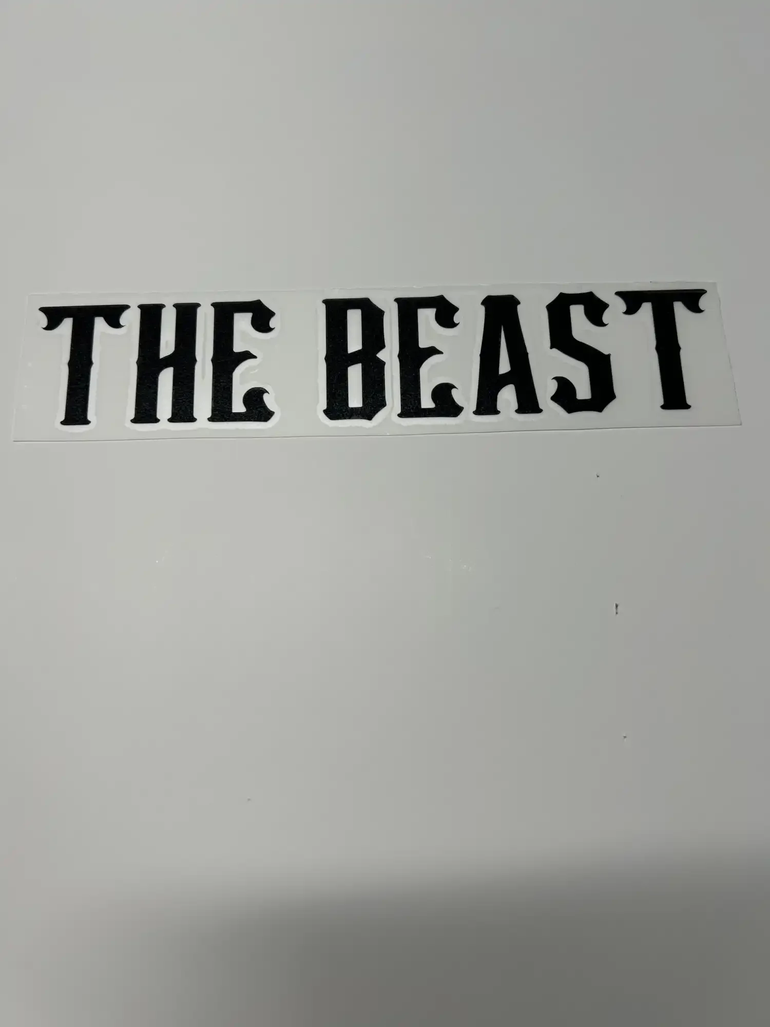 resizeplus_decal the beast 3.webp