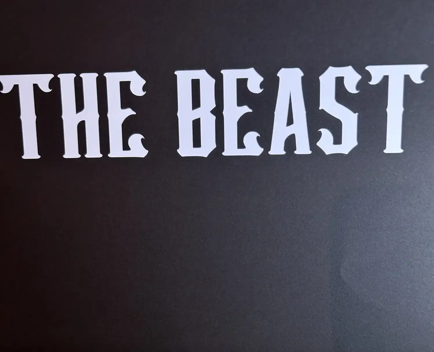 resizeplus_ the beast caption tallship.webp