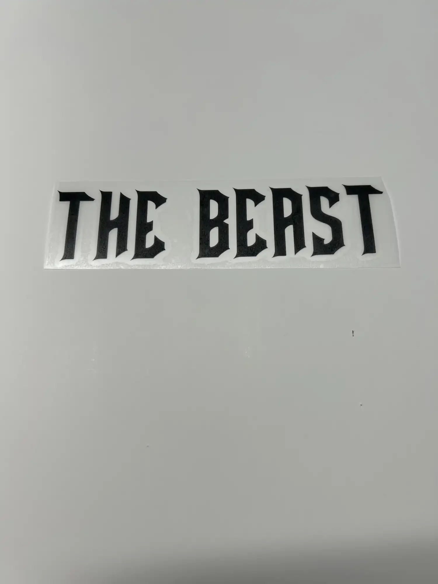 resizeplus_decal the beast 2.webp