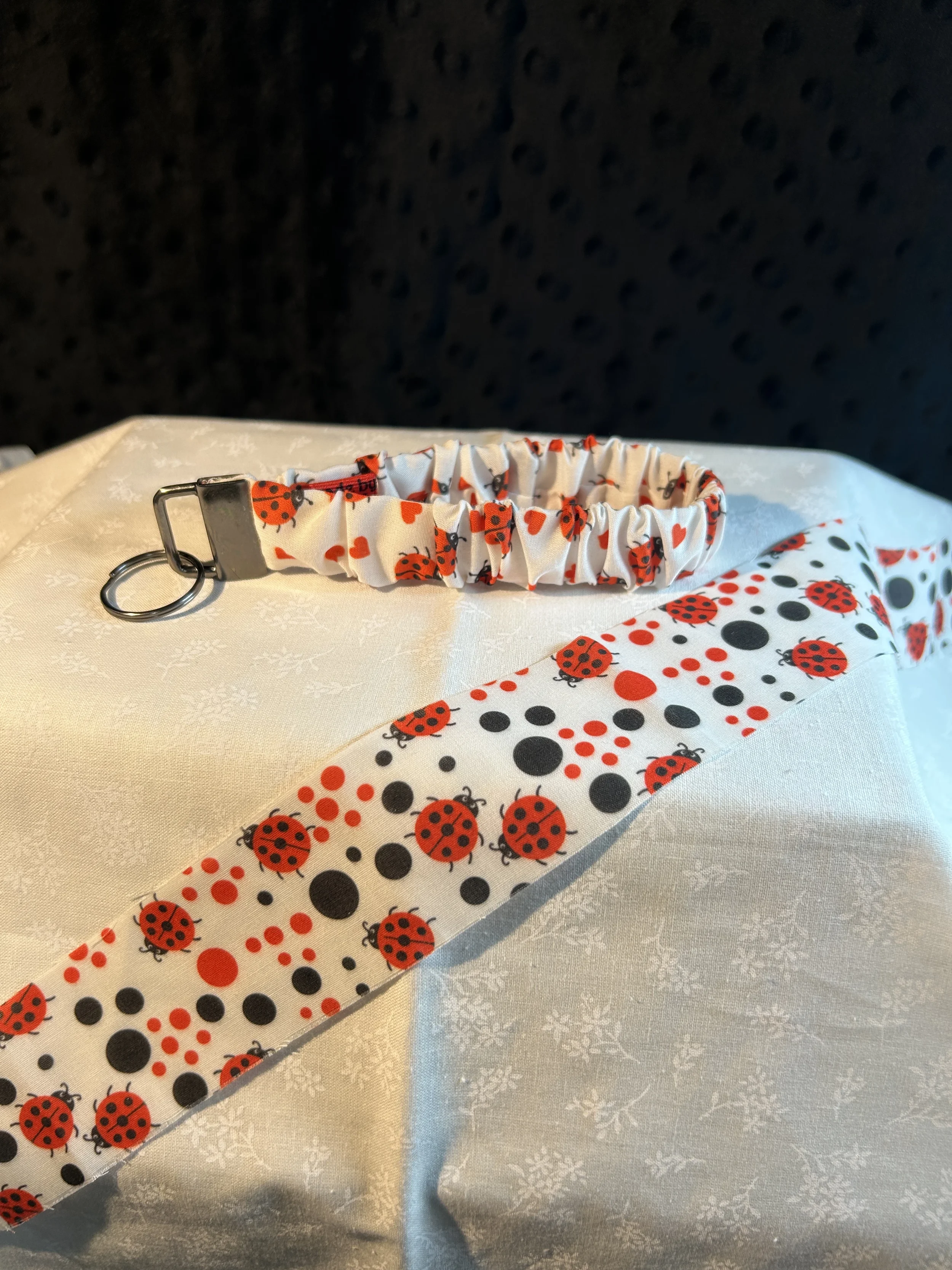 ladybug with blk/wht dots .webp
