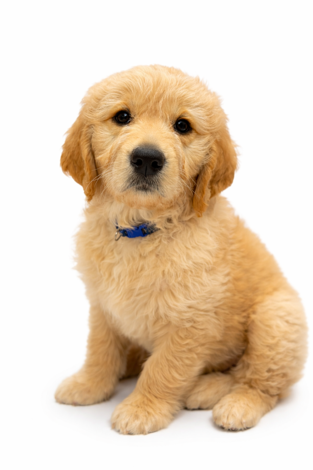 ChatGPT Image Mar 2, 2026, 01_08_31 PM.png