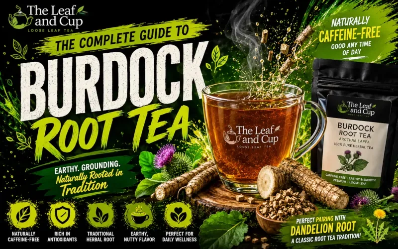 Burdock Root Tea Benefits: The Earthy Root Behind an Old Herbal Tradition