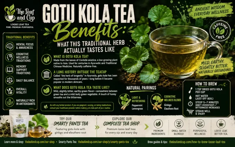 Gotu Kola Tea Benefits: What This Traditional Herb Actually Tastes Like