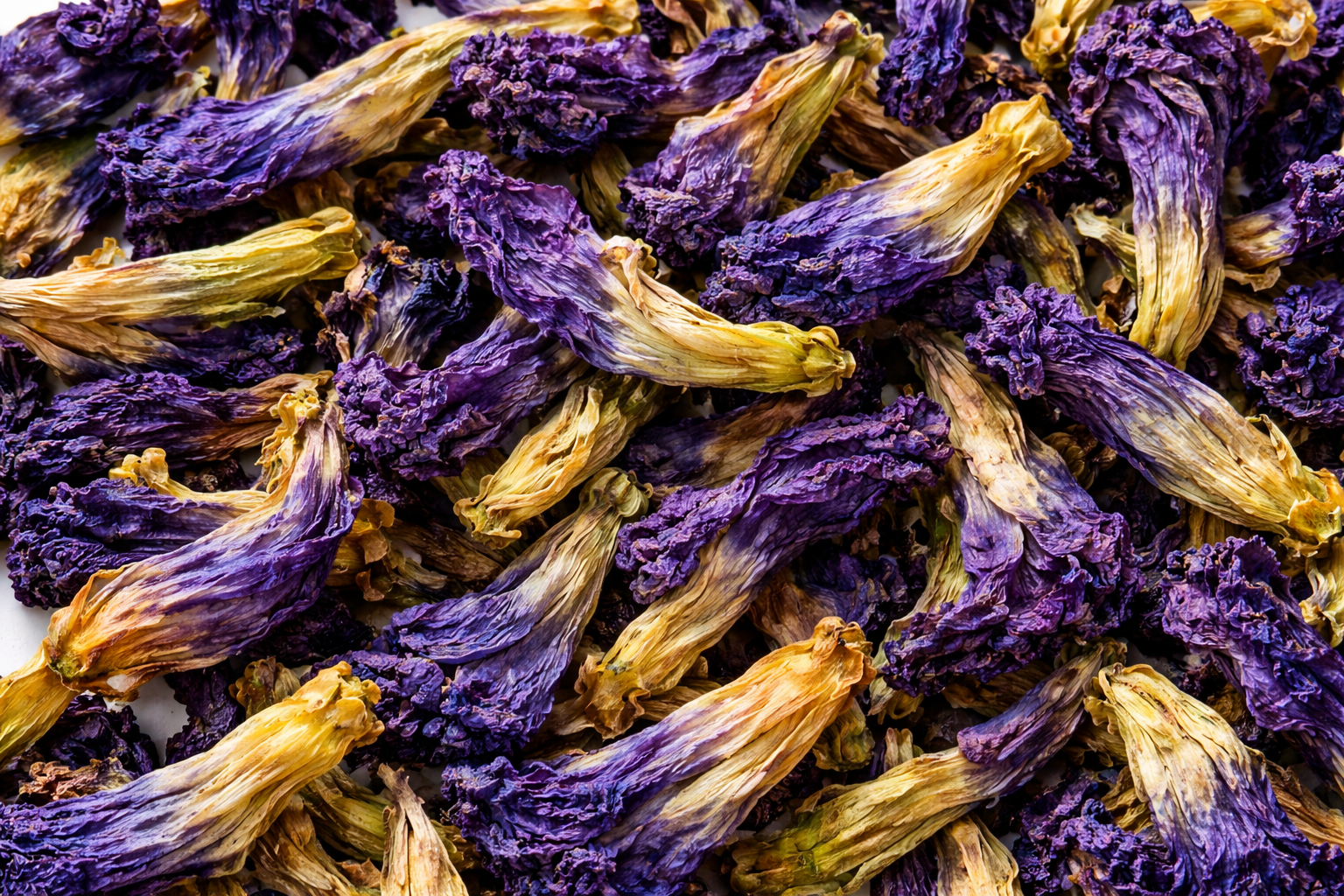 Butterfly Pea Flower herbal tea showing dried butterfly pea flowers