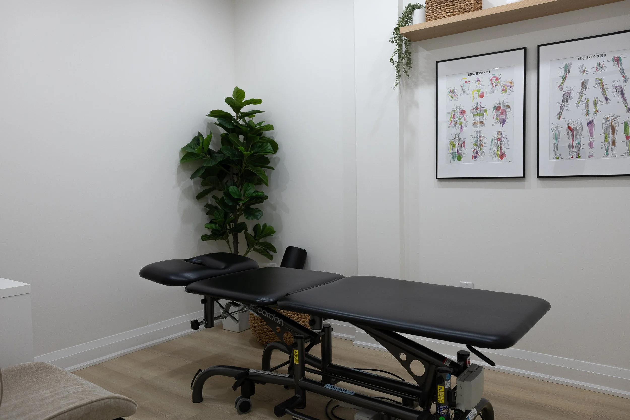An examination or therapy room with a black adjustable examination table, a beige armchair in the foreground, a tall green potted plant, and framed charts of trigger points on the wall.
