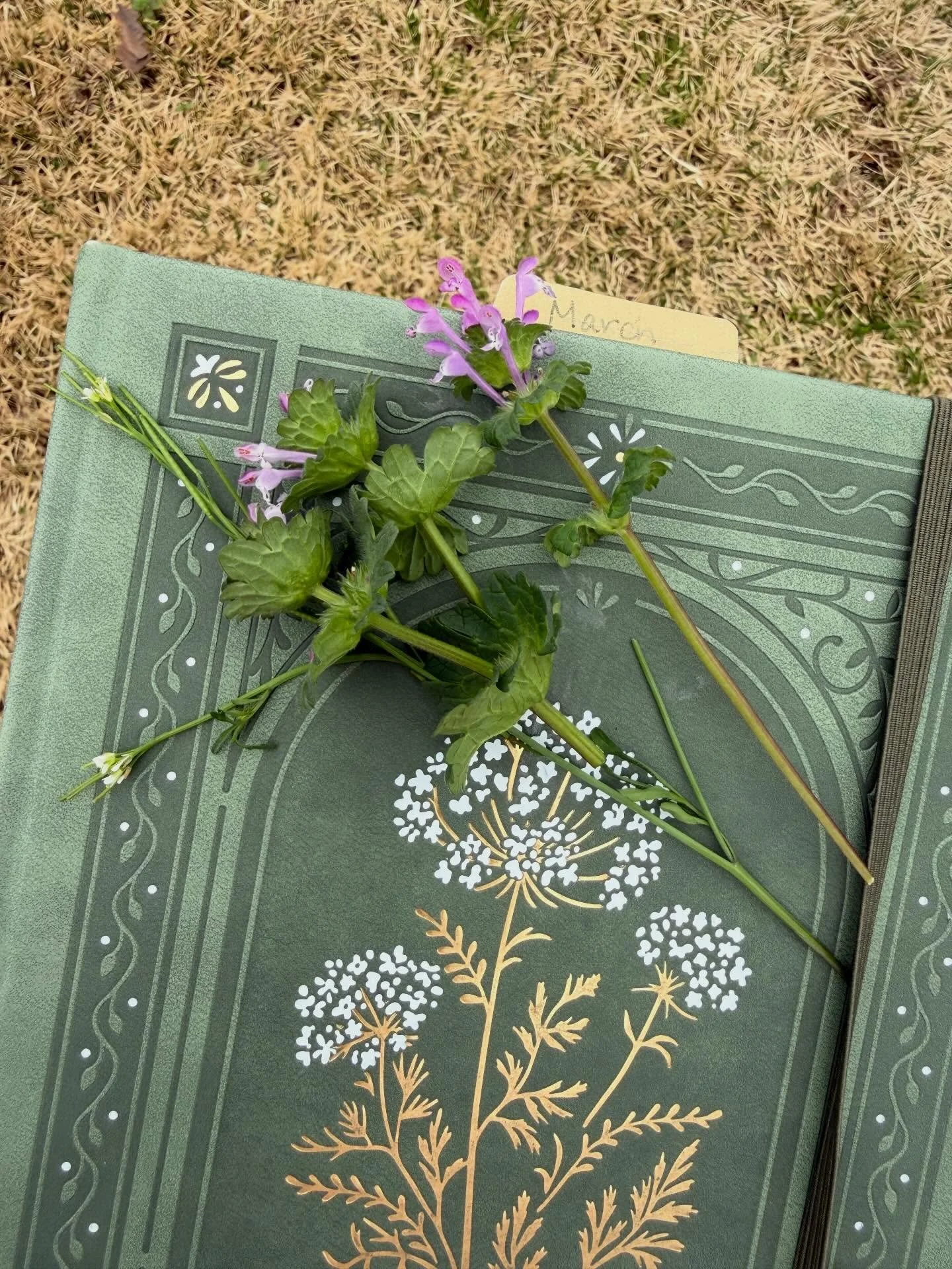 Spent the weekend journaling in the sunshine with my little wildflower, who brought me tiny early-season treasures for my &ldquo;mama&rsquo;s little bud vase.&rdquo; My heart is warm! #bookstagram #writer #authorlife #aspiringauthor #writersofinstagr