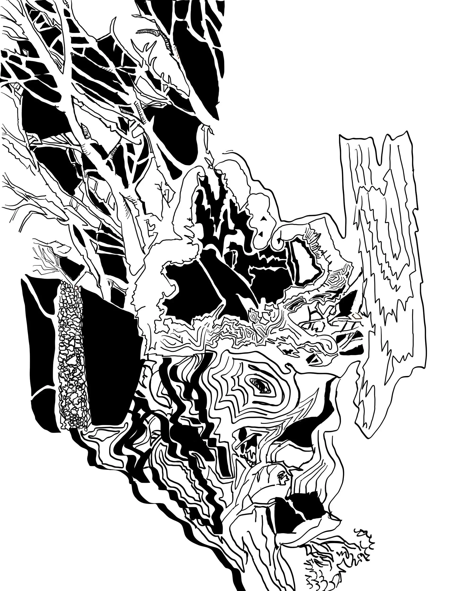 Drawing+nature+idea+.jpg
