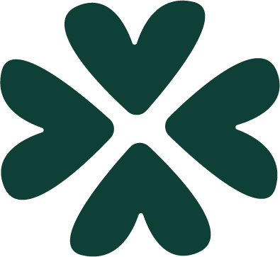 Siobhan Burke Design