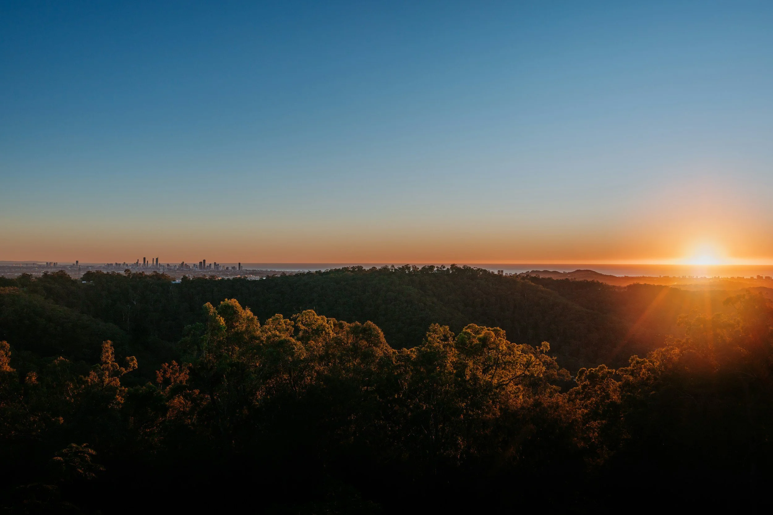 Tree Services Mudgeeraba