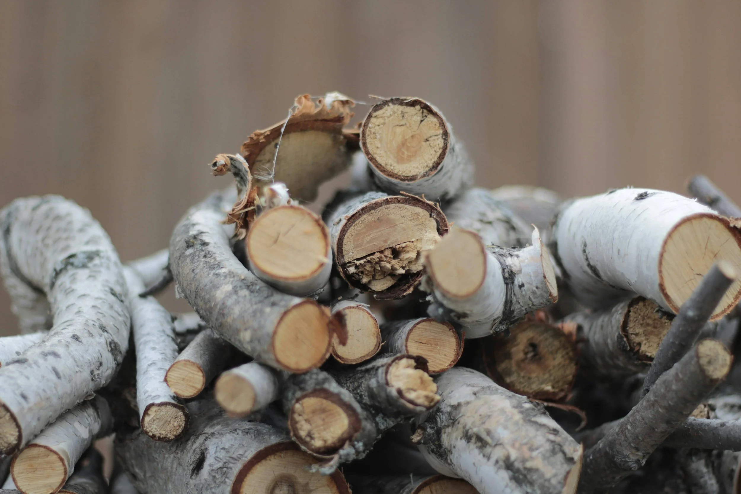 What to Do With Green Waste After Tree Work on the Gold Coast