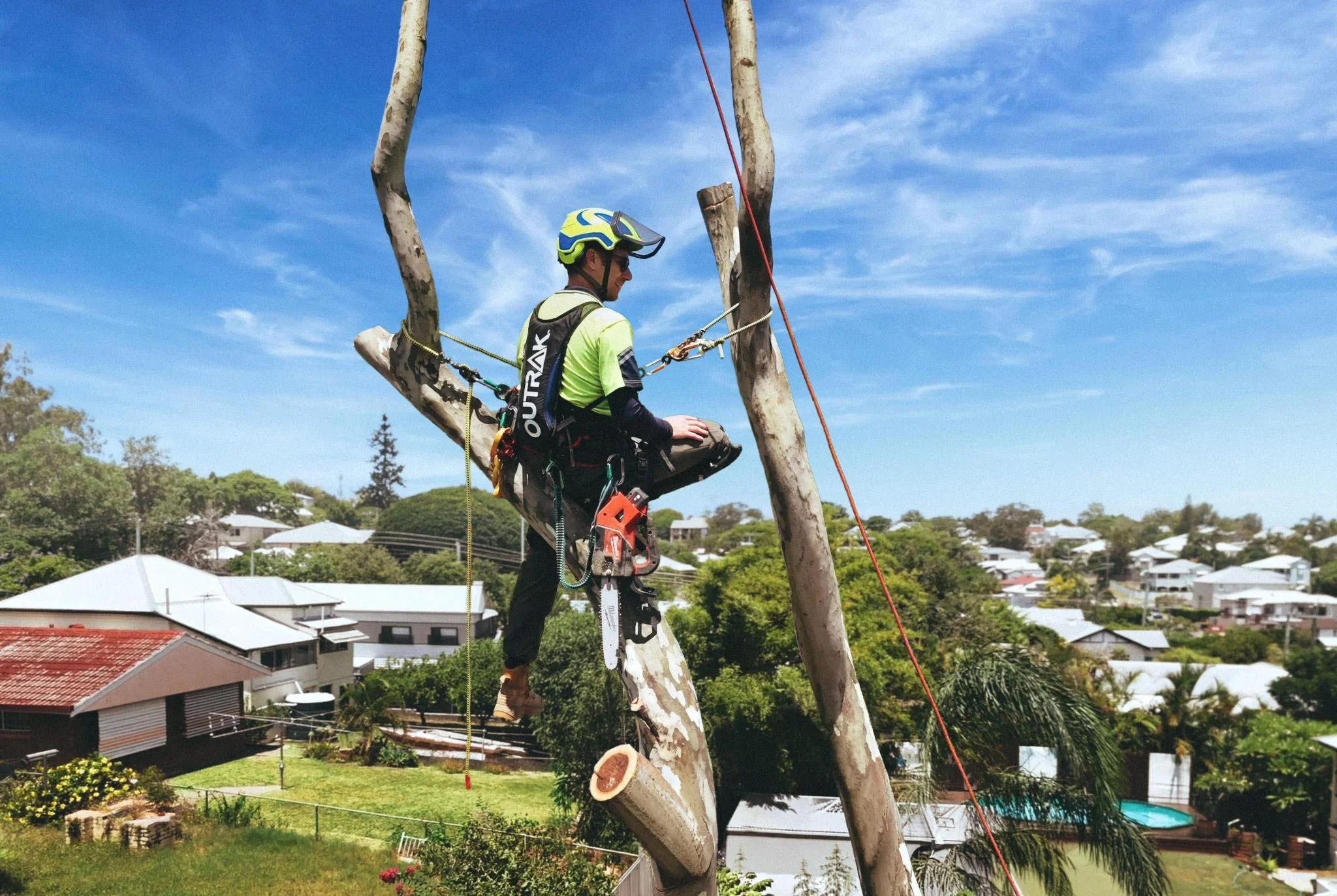 Tree trimming worker in safety gear on a branch with a chainsaw, high above residential houses and green trees on a sunny day.
