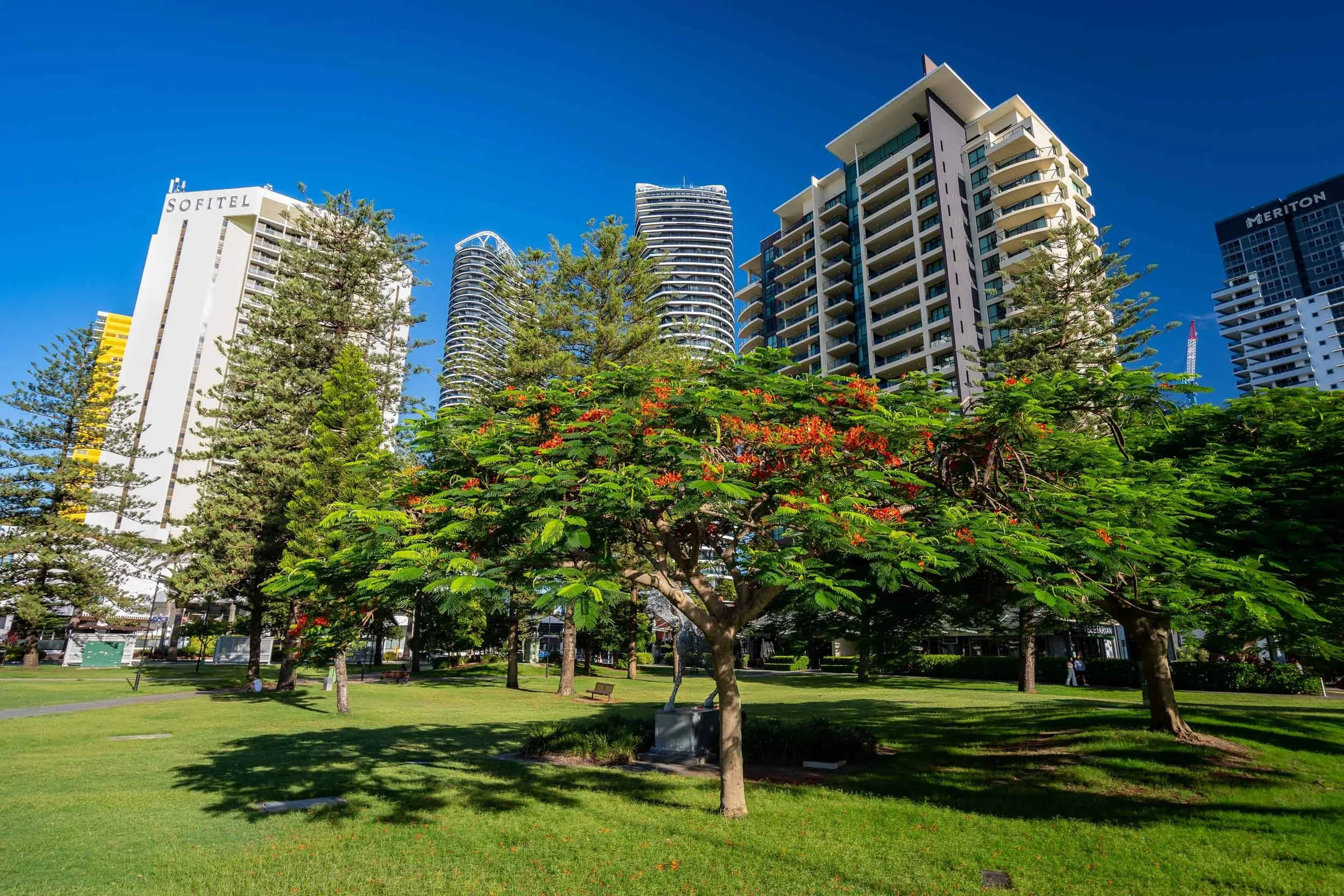 Broadbreach Tree Services