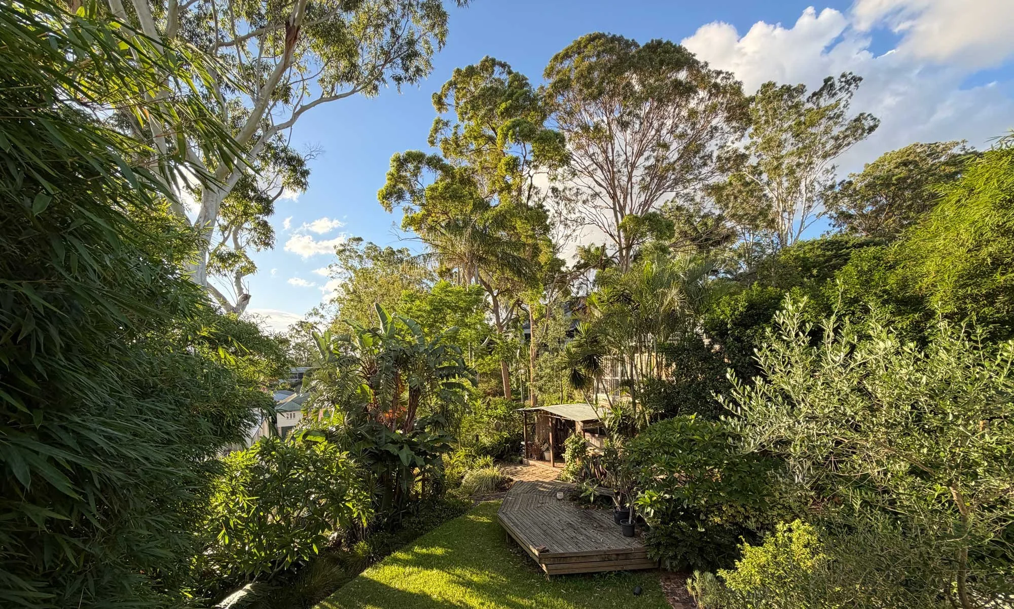 A lush backyard with tall trees, green shrubs, and a wooden deck under a partly cloudy sky during daytime.