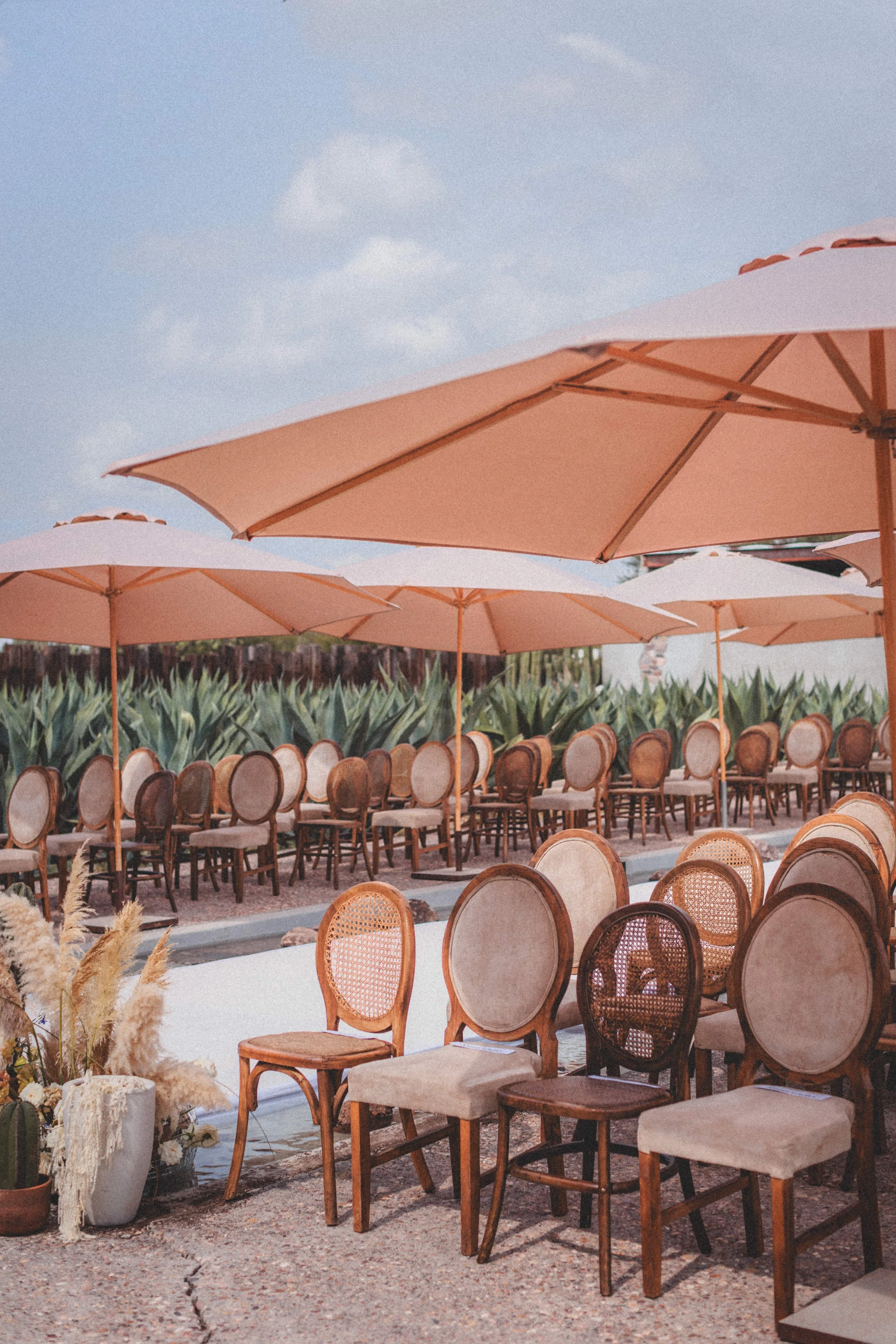 Boda Rachel & Enrique_0521.JPG